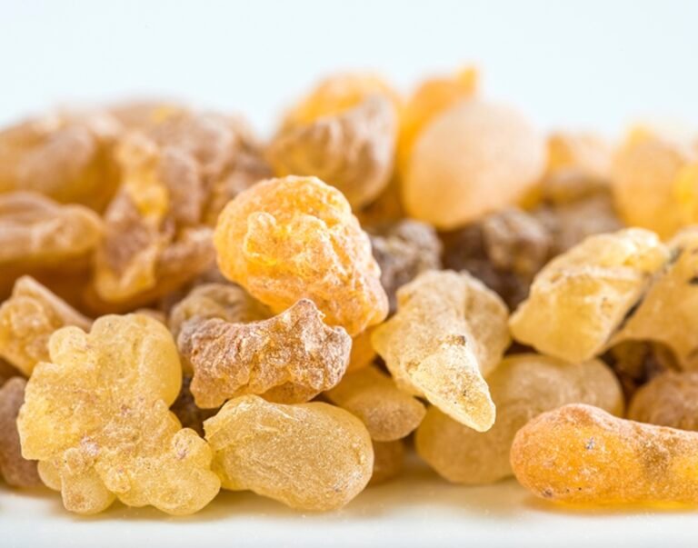 Boswellia Serrata – L’arbre à encens